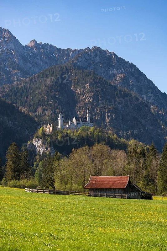 A small hut on a wide meadow with a castle majestically perched on a mountain peak behind it, Neuschwanstein, Schwangau near Füssen, Ostallgäu district, Swabia, Bavaria, Germany