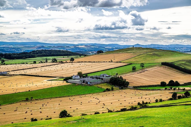 Scottish fields and farms, Southeast Scotland, UK