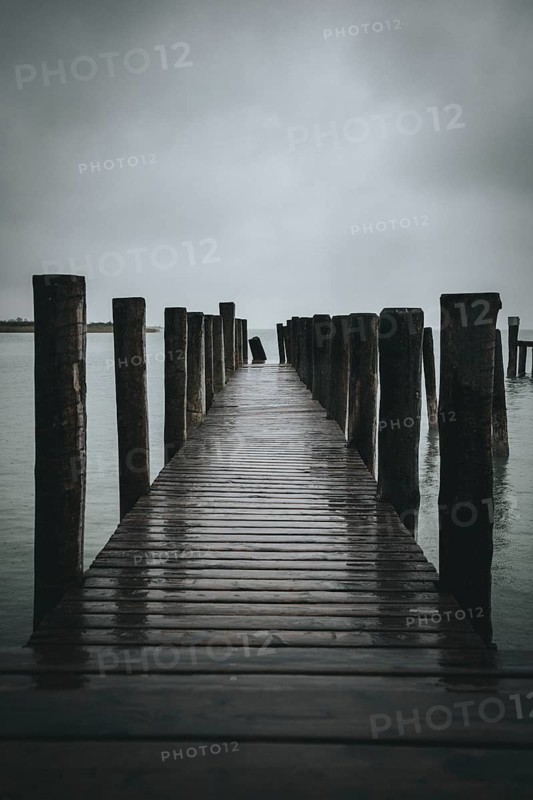 A long wooden footbridge leads into the misty water, surrounded by a peaceful atmosphere, Podersdorf, Burgenland, Austria