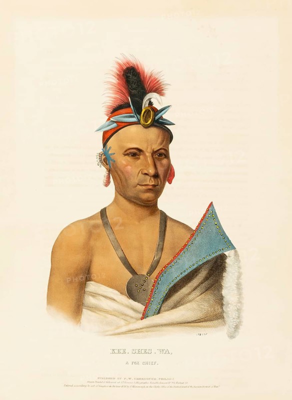 Kee-Shes-Wa, A Fox Chief (1838), Native American, Historical Native American tribes from North America, Charles Bird King (1785, 1862), Historical, digitally restored reproduction from a 19th century original, Record date not stated