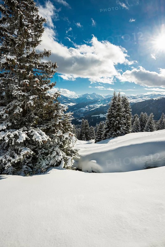Snow-covered winter landscape, above Flims and Laax, view of the Vorderrheintal, Canton of Graubünden, Switzerland