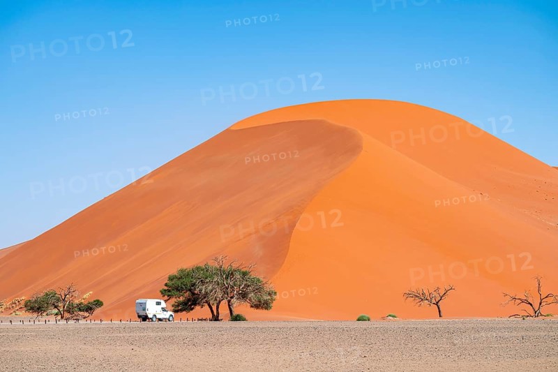 Dune 45, dune, sand dune, Sossusvlei, Namib Desert, Namib-Naukluft National Park, Namibia