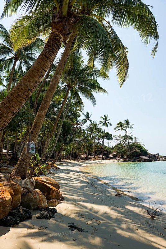Sandy beach beach with coconut palms, Haad Khlong Hin Beach, Koh Kood, Koh Kut, Gulf of Thailand, Thailand
