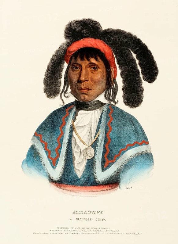 Micanopy. A Seminole Chief (1838), Indians, Historical Indian tribes from North America, Charles Bird King (1785, 1862), Historical, digitally restored reproduction from a 19th century original, Record date not stated