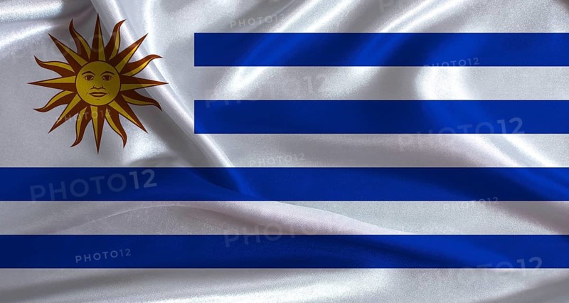National flag of Uruguay with cloth texture. Uruguay flag with realistic texture background