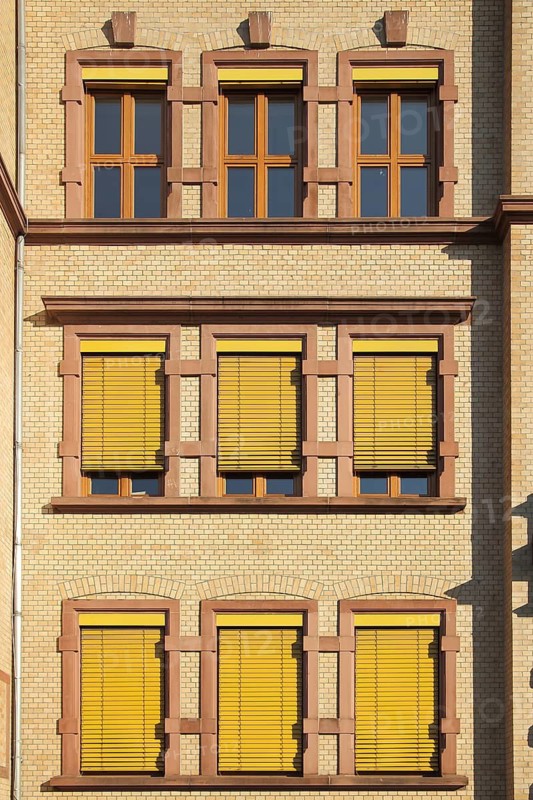 Yellow house wall with window, roller shutter, blind at the Robert Koch School, house wall, facade, yellow, monochrome, closed, open, Höchst, Main, Frankfurt, Hesse, Germany