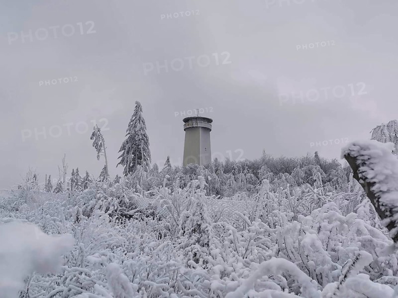 Snowy tower and trees on a grey winter day, Thüringer Warte, Frankenwald nature park Park