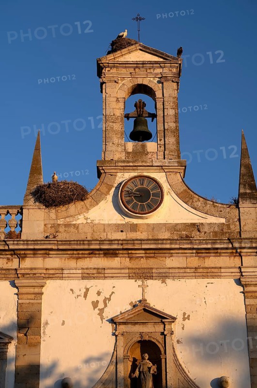 Stork nests, nest, storks nesting on city archway, archway, Arco da Vila, old town, Faro, Algarve, evening light, Portugal