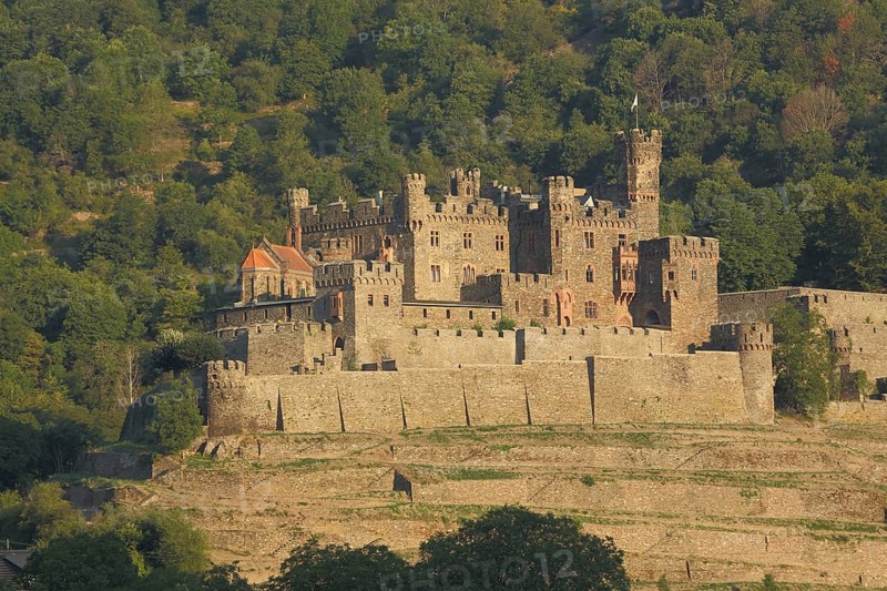 Reichenstein Castle built in 1213, Falkenburg, Trechtingshausen, UNESCO, Upper Middle Rhine Valley, Rhineland-Palatinate, Germany