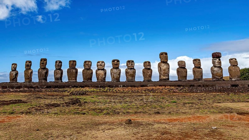 Moai statues under a bright blue sky on a rocky coastal plain, The Moai statues on Easter Island in the Pacific Ocean