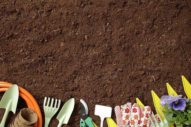 A variety of gardening tools, including gloves, spades, and a hose, are arranged on a soil background. A small pot with purple flowers adds a touch of color