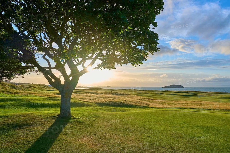 Sunbeams through tree in landscape with view of island in sea, golf course, North Berwick, East Lothian, Scotland, United Kingdom, Great Britain