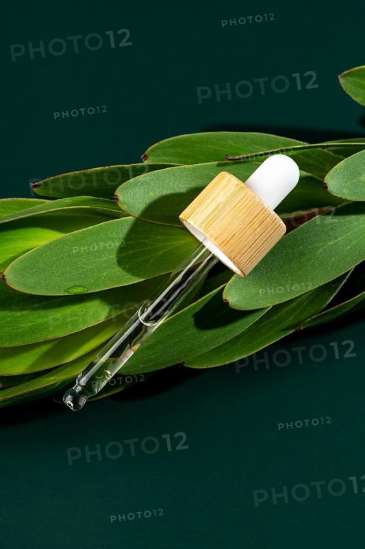 Transparent micellar water for face care displayed in a minimalist pipette bottle, resting on vibrant green leaves against a dark background
