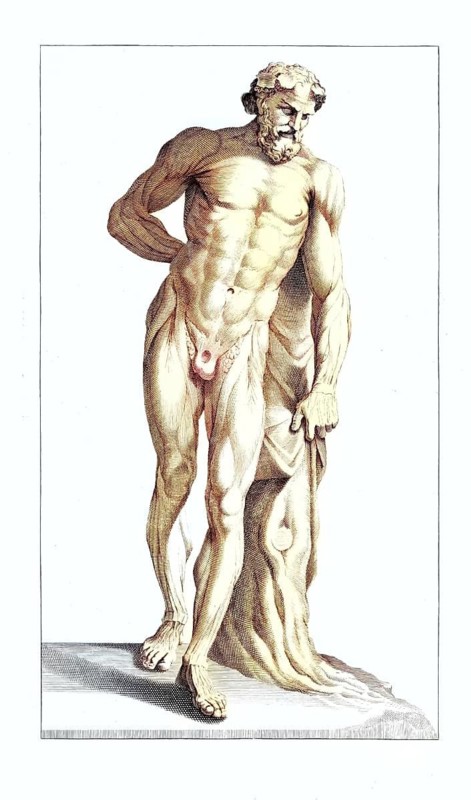 An anatomical model reproducing the proportions of the statue of Faunus in the Villa Borghese, Rome, Italy, front view, sculpture of a man with anatomical precision, muscular body structure emphasised