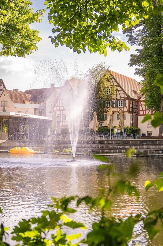 An active fountain in a lake surrounded by traditional houses and green trees in summer, Stadtpark Kleb, Nagold, Black Forest, Germany