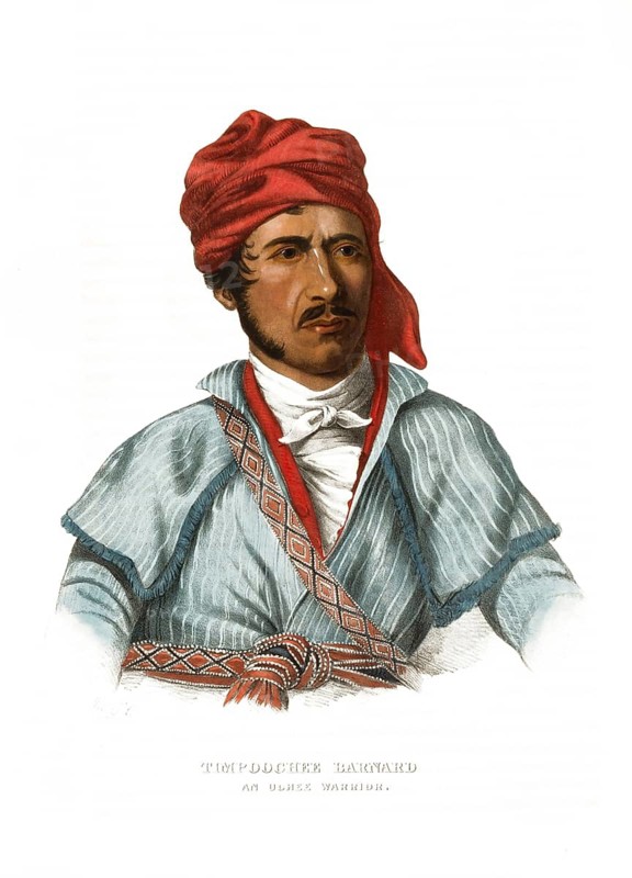 American Indian, Native American, Timpoochee Barnard, Warrior of the Uchee Tribe, United States of America, USA, Painting by Charles Bird King (1785, 1862), c. 1840, Historic, digitally restored reproduction from a 19th century original, Record date not stated