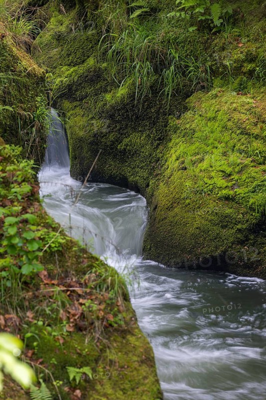 Flowing, silky water with ferns and rocks in the Edmunds Gorge, river Kamnitz, Hrensko, Ustecky kraj, Czech Republic