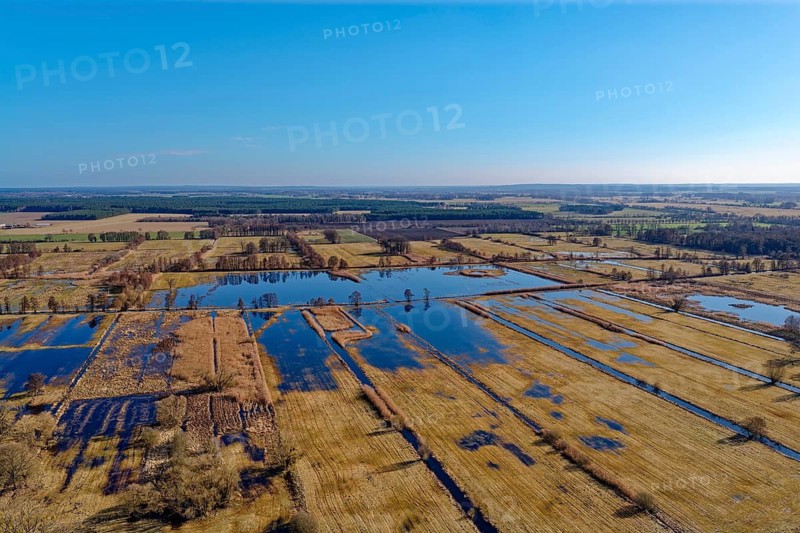 Moats and wetlands in the UNESCO Drömling Biosphere Reserve in the Altmark near Mieste on a sunny day in early spring. aerial view. Mieste, Gardelegen, Saxony-Anhalt, Germany