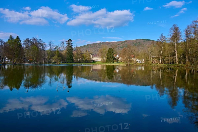 A calm lake reflects the blue sky and surrounding trees, Seegarten, Amorbach, Odenwald, Bavaria, Germany