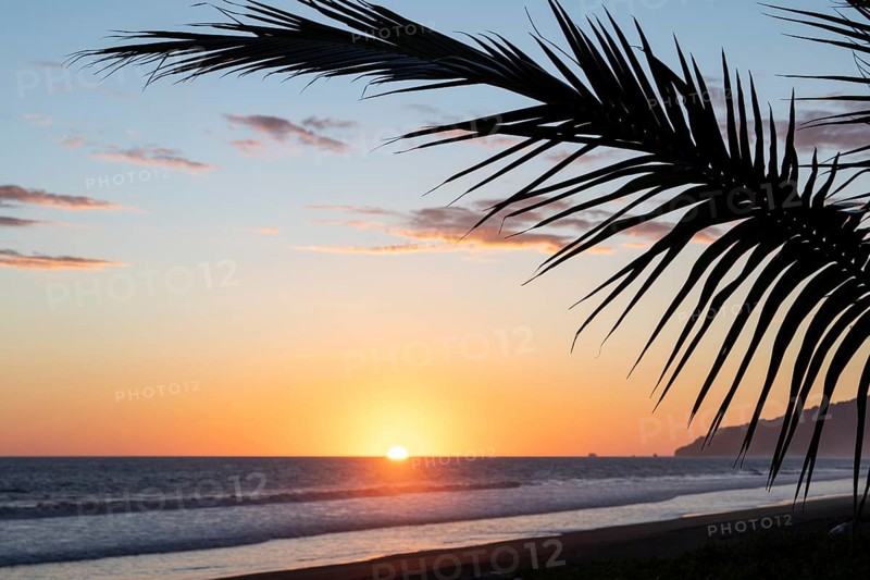 Low sun illuminates ocean and palm trees on the beach, with views of Corcovado National Park. Costa Rica