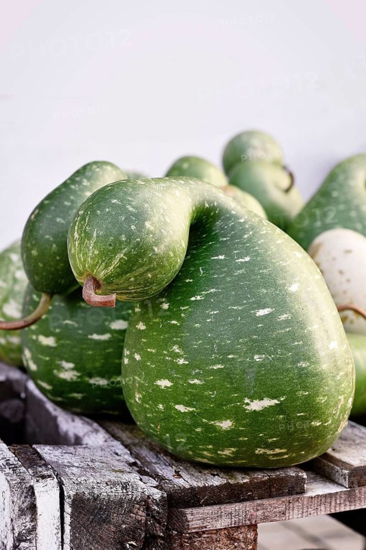 Green Kalebasse 'Speckled Swan' gourds on wooden rack