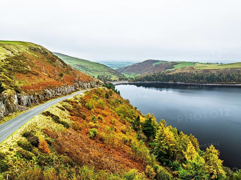 Autumn colours over Llyn Clywedog and Clywedog Reservoir from a drone, Llanidloes, Wales, UK