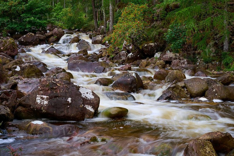 Fast flowing river with rocks in a green wooded area, Scotland, United Kingdom, Great Britain