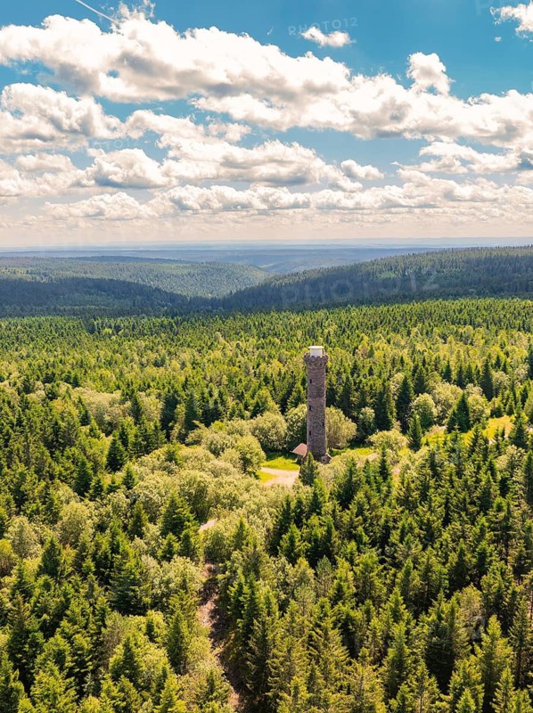 A watchtower rises from an endless green forest under a white cloudy sky, Kaltenbronn, Hohlohturm, Black Forest, Germany