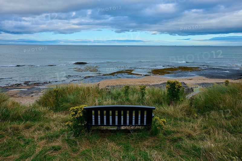 A bench looks out at the sea and rocky coastline under a cloudy sky, Seahouses, Northumberland, England, Great Britain