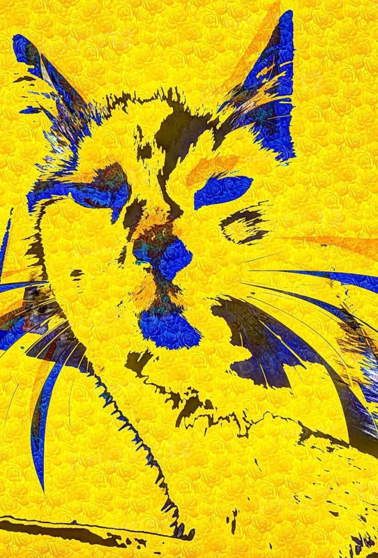 Michas Cats, art, mixed media, artist Michael Preyer, abstract cat portrait, portrait, cat head, painting, graphic, portrait of a cat, ears, whiskers, colour blocking, yellow with blue, alienation, Germany