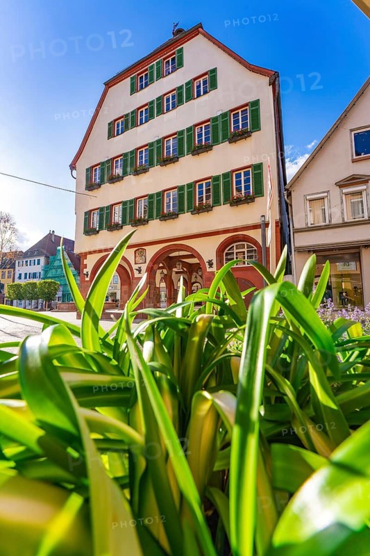 A house façade with green shutters, flanked by lush greenery in bright sunshine, Weil der Stadt, Böblingen district, Germany