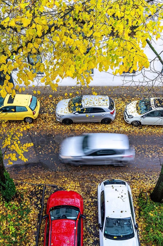 Autumn, rainy weather, residential street, parked vehicles, wet leaves on the street, pavement, tree, lime tree, with yellow coloured leaves, Essen, North Rhine-Westphalia, Germany