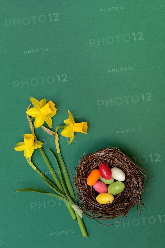 Easter nest, nest with sugar eggs and yellow daffodils