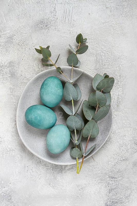 Easter colored eggs, in turquoise tones, on a gray plate, with a branch of eucalyptus, Easter card, top view, no people