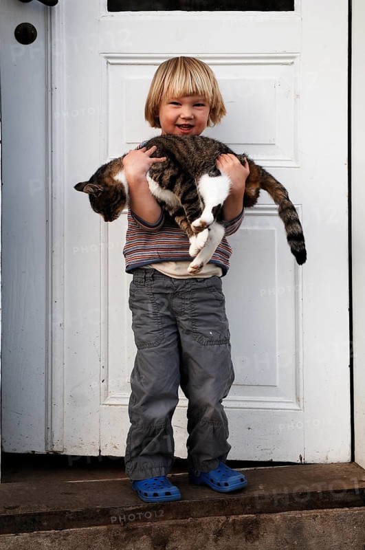 Little boy, three years old, with a cat in his arms, Othenstorf, Mecklenburg-Vorpommern, Germany