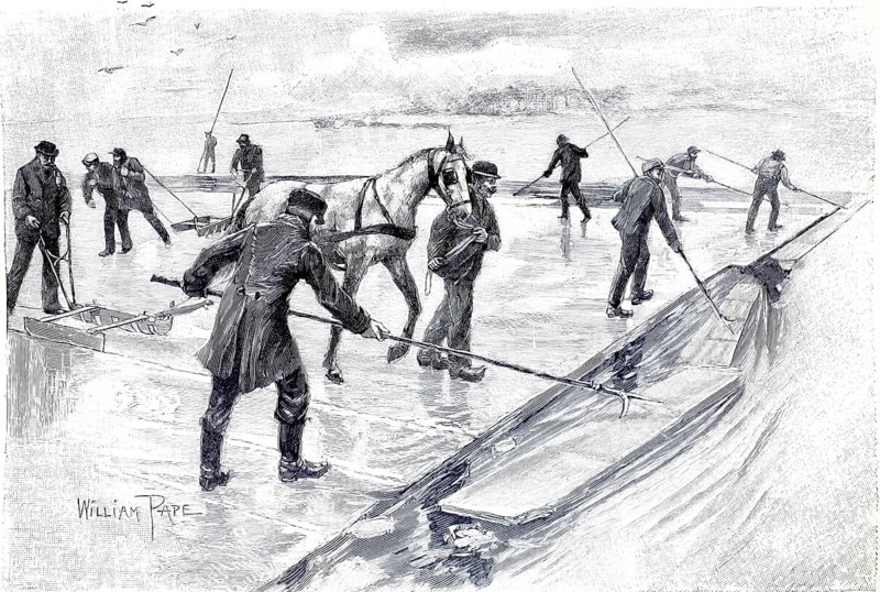 Extraction of natural ice for cooling, squaring with ice plowing and rafting the ice sheets, 1880, Germany, illustration, reproduction from a model from the 19th century. Authentic, file restored for optimal use, exact date of submission unknown, historical, men work on a frozen river in winter while a horse helps move the ice floes