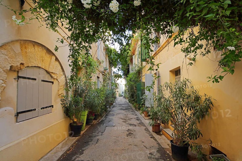 Idyllic narrow alley with flower pots, decoration and shutters, Arles, Bouches-du-Rhône, Camargue, Provence, France