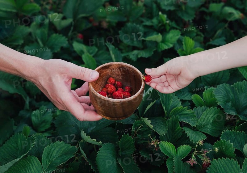 Two hands are exchanging a wooden bowl filled with strawberries. The background features lush green leaves, evoking a sense of freshness and nature bounty