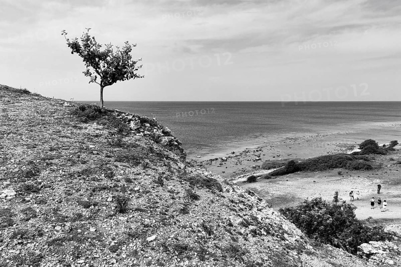 Reef limestone cliffs, coastline, rock formation, monochrome, Hoburgsgubben, Hoburgen, south of the island of Gotland, Baltic Sea, Sweden