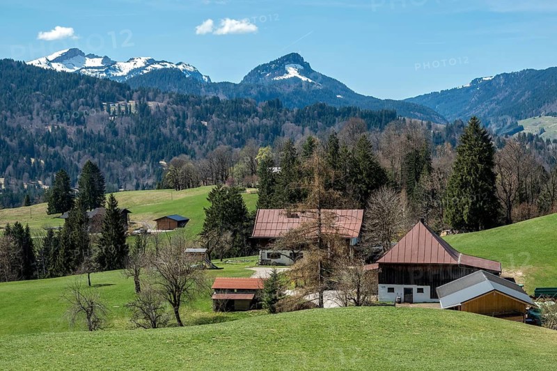 View from Oytalstraße, back left Hoher Ifen, Oberstdorf, Oberallgäu, Allgäu, Bavaria, Germany