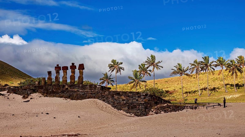 Stone statues on a sandy area of Easter Island, with palm trees in the background and blue sky, The Moai statues on Easter Island in the Pacific Ocean