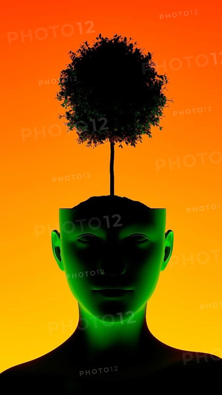 A silhouette of a human head features a vibrant tree emerging from the top, symbolizing thought, creativity, and personal growth against a bold orange and green background