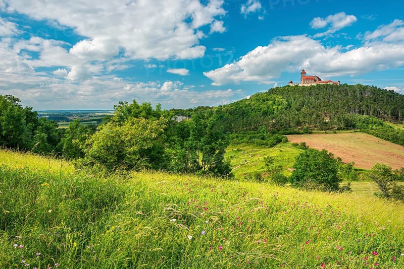 View over a species-rich wildflower meadow of Wachsenburg Castle, blue sky with cumulus clouds, Burgenensemble Drei Gleichen, Thuringian Burgenland, Thuringian Basin, Gotha, Thuringia, Germany