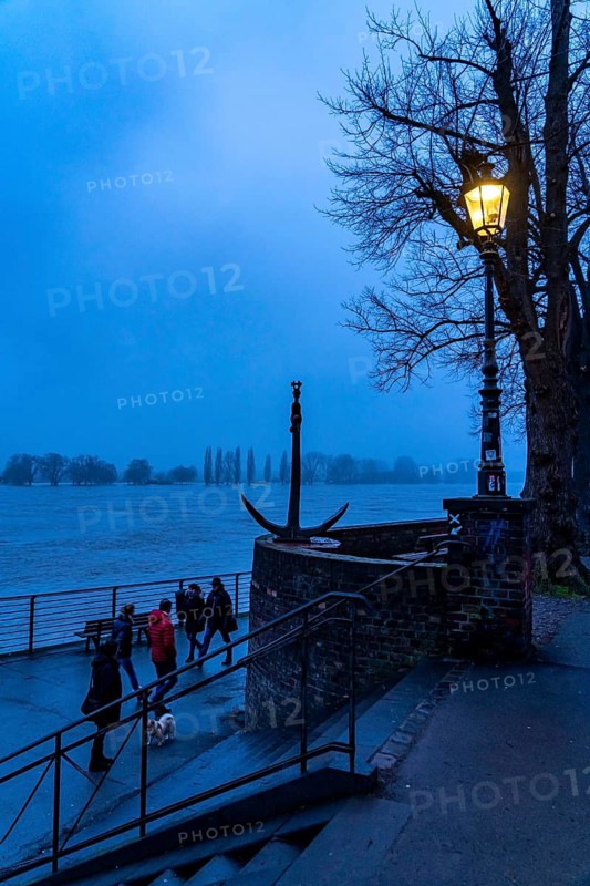 High water on the Rhine at Düsseldorf-Kaiserswerth, foggy weather, riverside paths and Rhine meadows are partly flooded, the Rhine ferry has stopped operating, initial restrictions on shipping apply, Düsseldorf, North Rhine-Westphalia, Germany