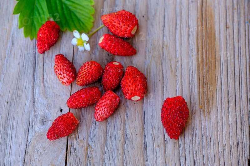 Walderdbeeren, Fruits, Food, Upper Bavaria, Bavaria, Germany