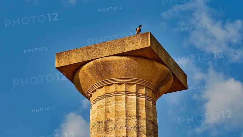 Temple of Zeus, ancient column with a seated bird against a clear sky, archaeological site, Ancient Olympia, Olympia, Peloponnese, Greece