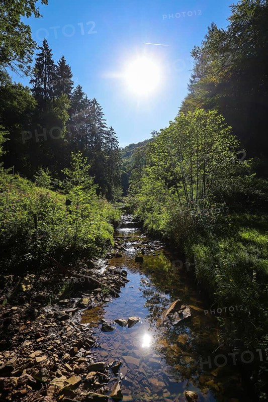 Ennepetal, North Rhine-Westphalia, Germany - Hülsenbecker Tal, Hülsenbecke stream, local recreation area in Ennepetal