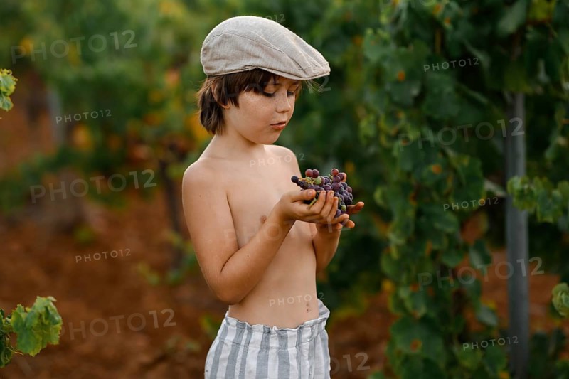 A young boy with a cap enjoys fresh grapes in a vibrant vineyard. His striped shorts and the green foliage around create a nostalgic, rural atmosphere