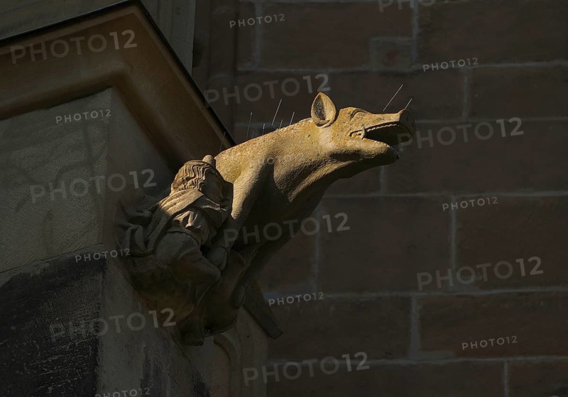 Anti-Jewish vile sculpture, anti-Semitic sculpture designed as a Jew sow, created around 1270, south façade, knights' collegiate church, St. Peter collegiate church, Bad Wimpfen, Kraichgau, Baden-Württemberg, Germany