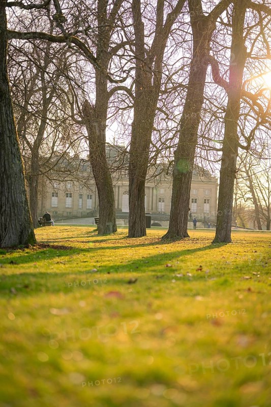 Light and shadow from trees falling on a quiet park next to the building, Domäne Monrepos, Ludwigsburg, Germany